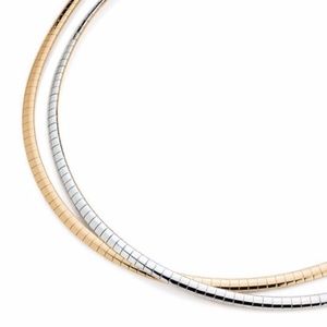 NWOT Lia Sophia Reversible Slide Necklace